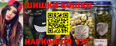 индика Заводоуковск