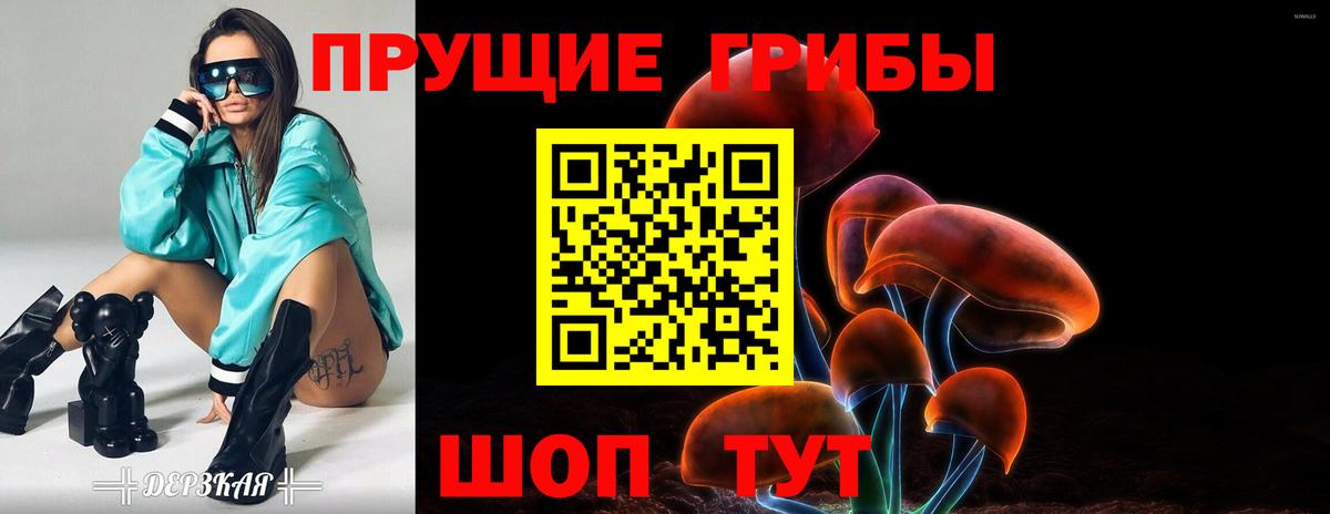 Псилоцибиновые грибы мухоморы  Псилоцибиновые грибы MAGIC MUSHROOMS  Кольчугино  Вход с VPN 