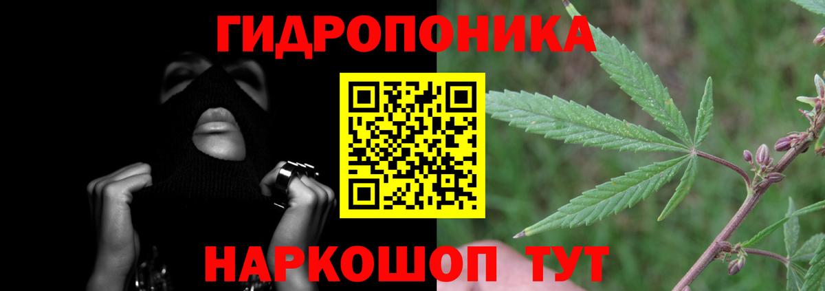 Конопля индика Кольчугино