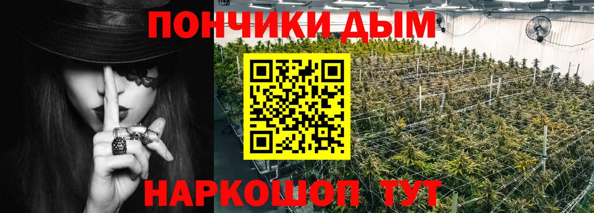 Бошки марихуана THC 21%  Вход с VPN  Марихуана THC 21%  Кольчугино  Бошки марихуана Amnesia 